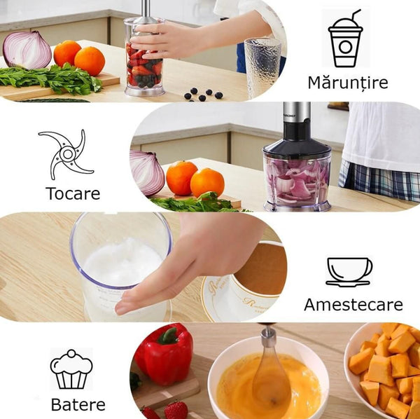 Mini Mixer Electric de Bucătărie